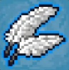 Feathers